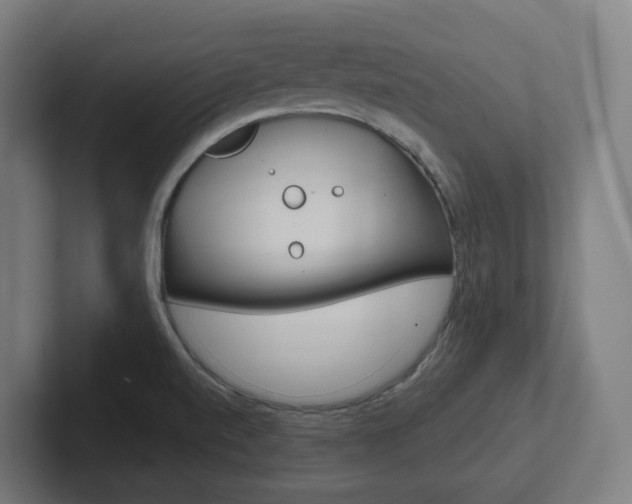 X0000102401520200808010944