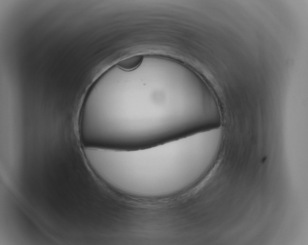 X0000102401521200808010944