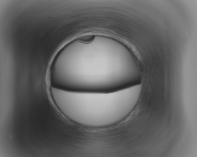 X0000102401522200808010944