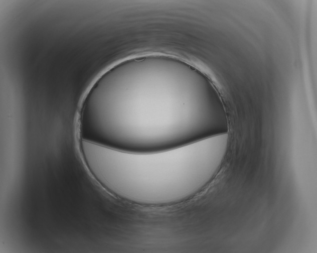 X0000102401524200808010944