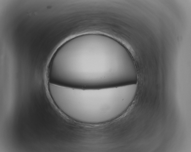 X0000102401526200808010944