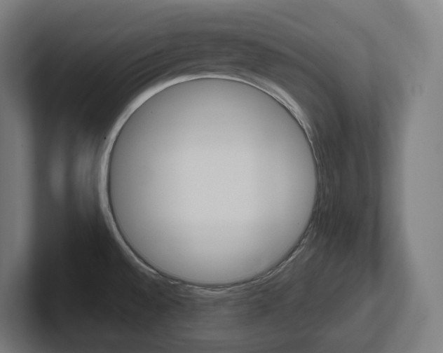 X0000102401528200808010944