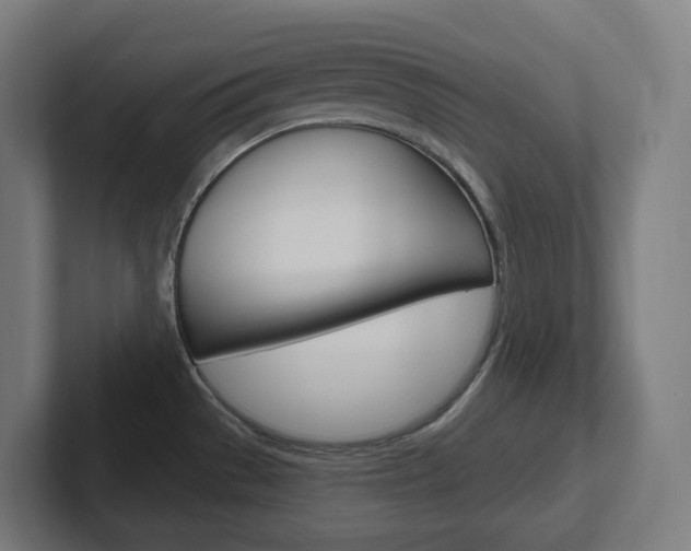 X0000102401529200808010944