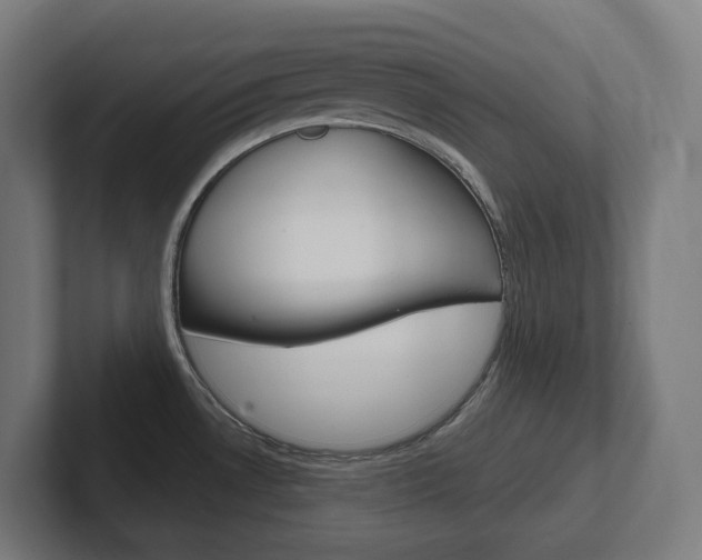 X0000102401530200808010944