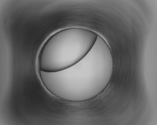 X0000102401531200808010944