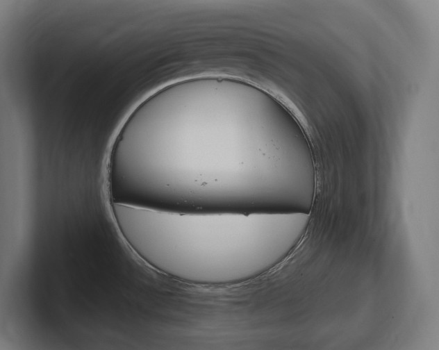 X0000102401532200808010944