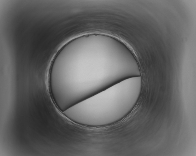 X0000102401535200808010944
