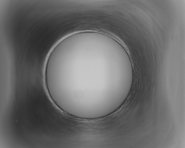 X0000102401536200808010944