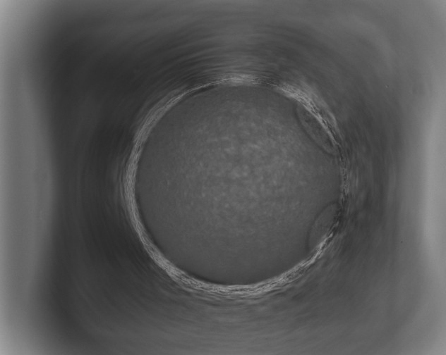 X0000102400001200808011556