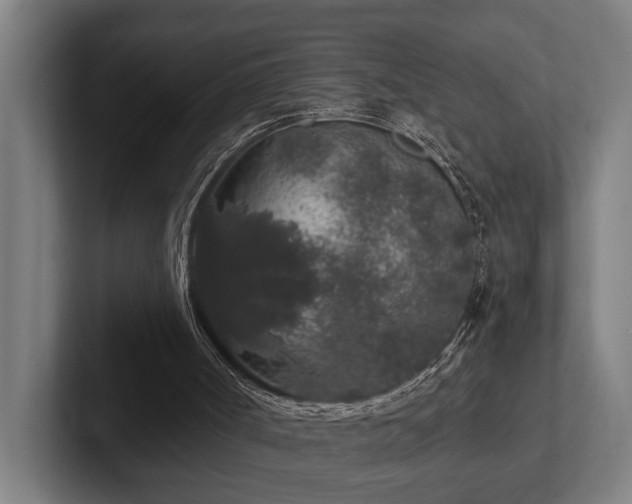 X0000102400002200808011556