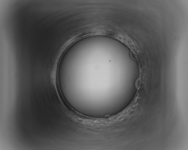 X0000102400003200808011556