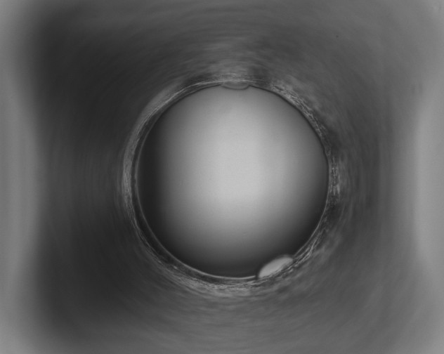 X0000102400004200808011556