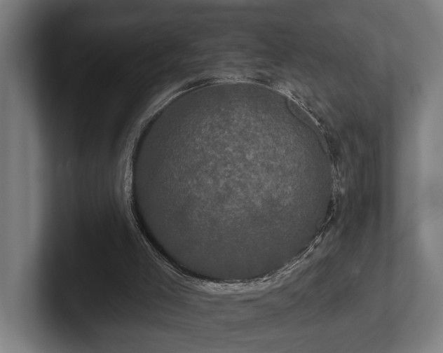 X0000102400005200808011556