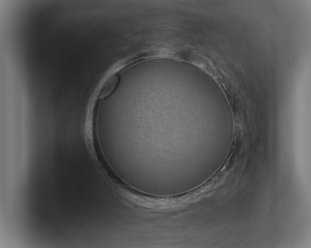 X0000102400006200808011556