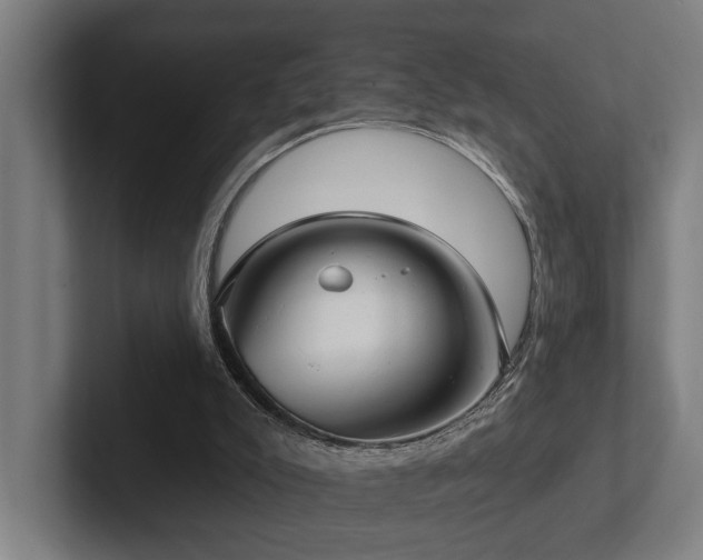 X0000102400007200808011556