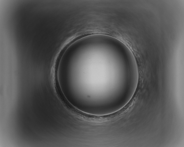 X0000102400008200808011556