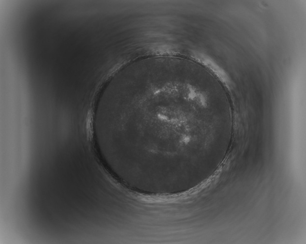 X0000102400009200808011556