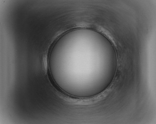 X0000102400011200808011556