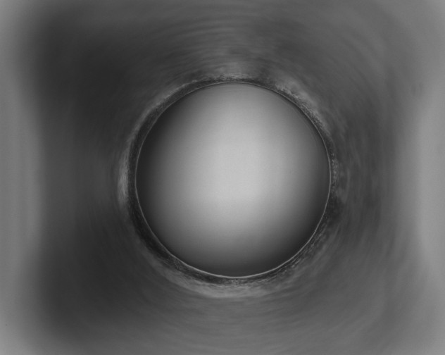 X0000102400012200808011556