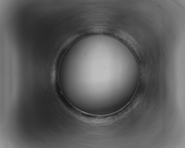 X0000102400016200808011556