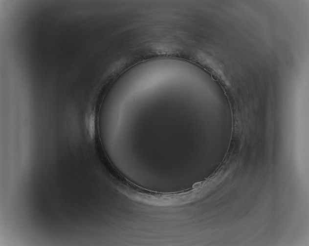 X0000102400019200808011556