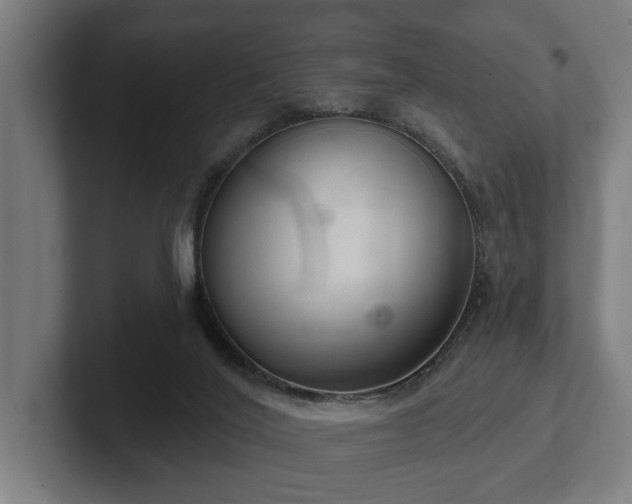 X0000102400020200808011556