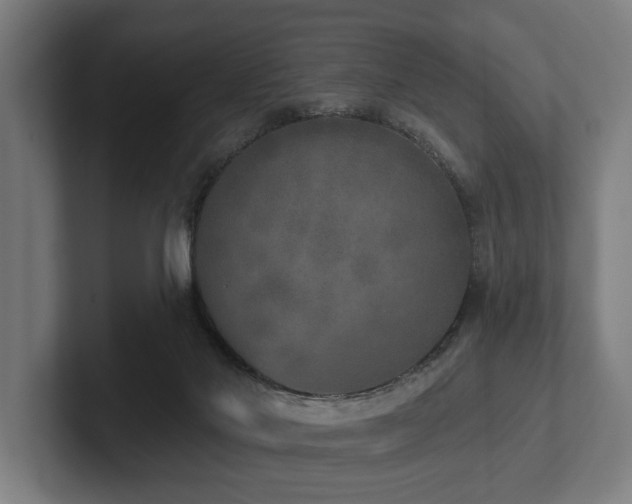 X0000102400022200808011556