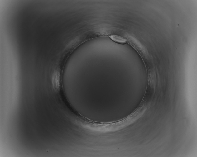 X0000102400023200808011556