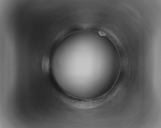 X0000102400024200808011556