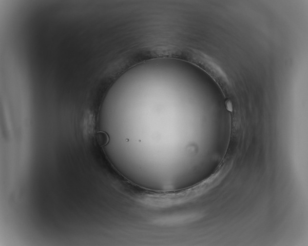 X0000102400025200808011555