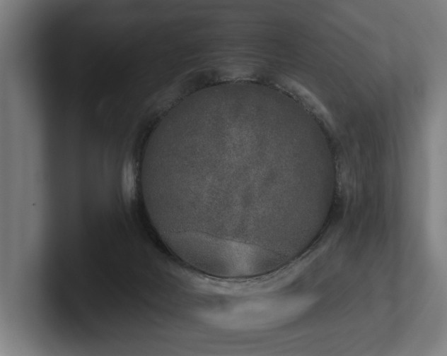 X0000102400026200808011555