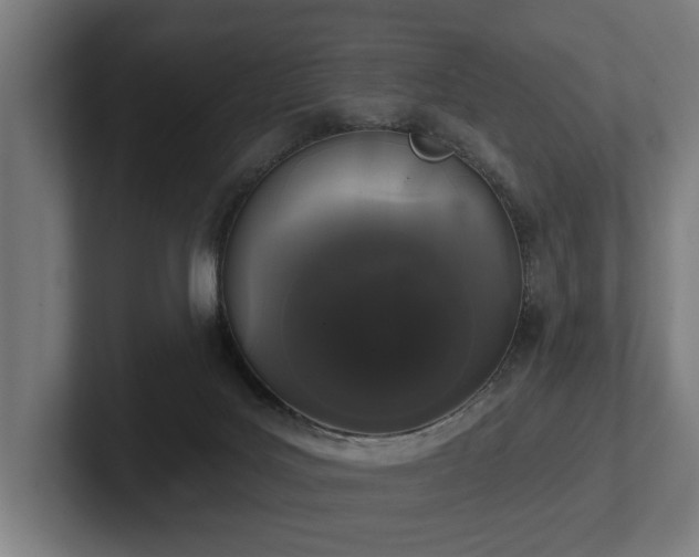 X0000102400027200808011555