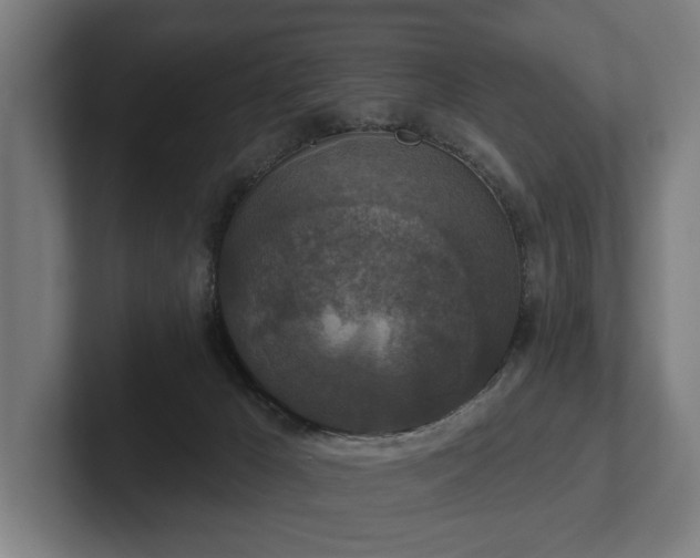 X0000102400029200808011555