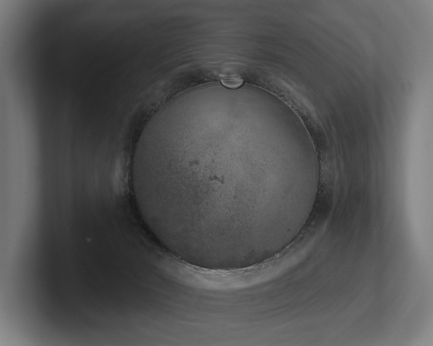 X0000102400030200808011555