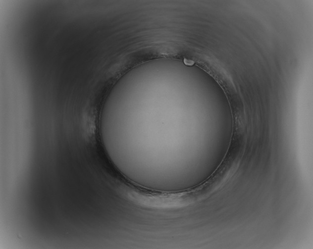 X0000102400032200808011555