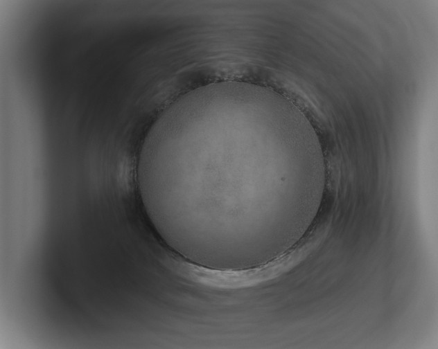 X0000102400034200808011555