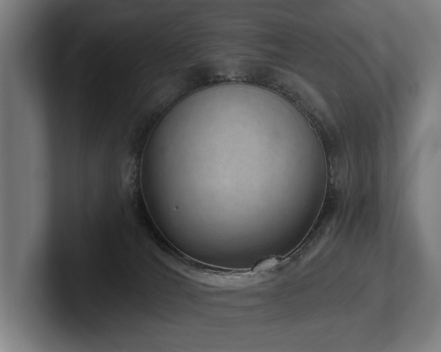 X0000102400036200808011555