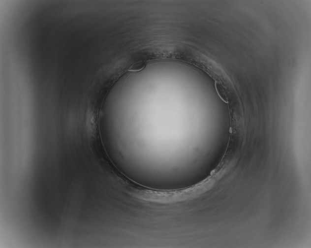 X0000102400037200808011555