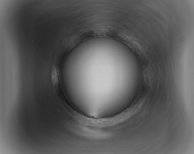 X0000102400038200808011555