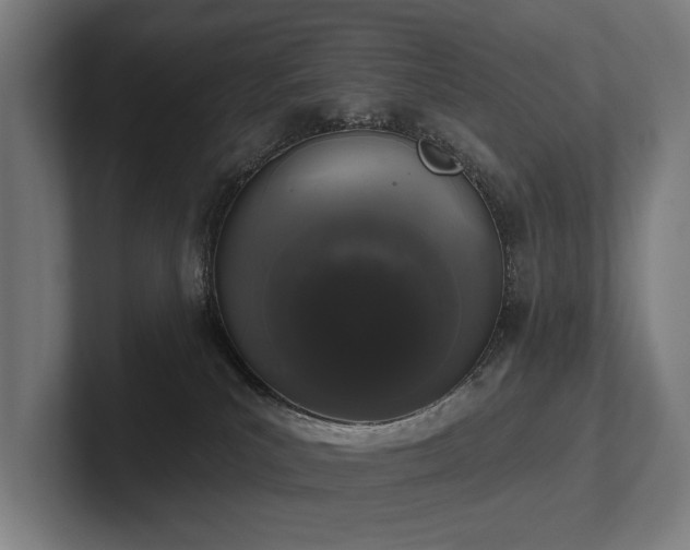 X0000102400039200808011555