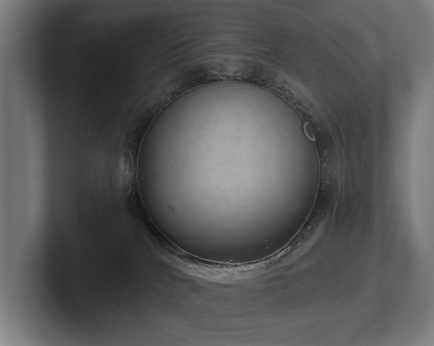 X0000102400040200808011555