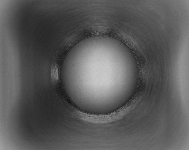 X0000102400042200808011555