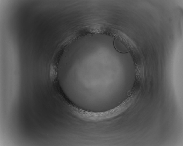 X0000102400043200808011555