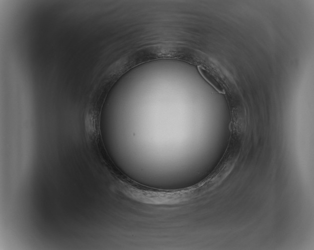 X0000102400044200808011555