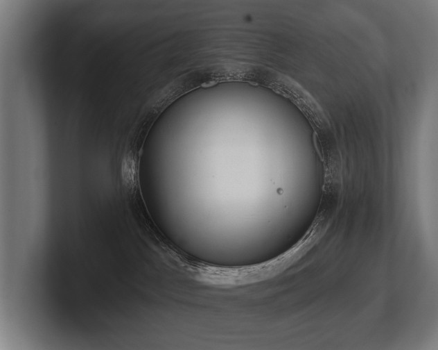 X0000102400045200808011555