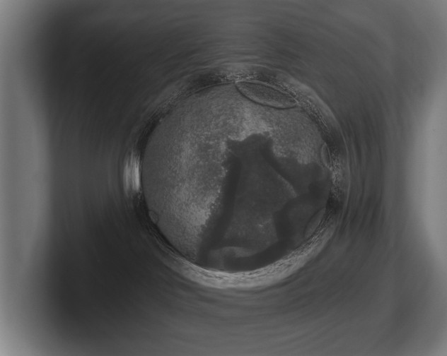 X0000102400046200808011555