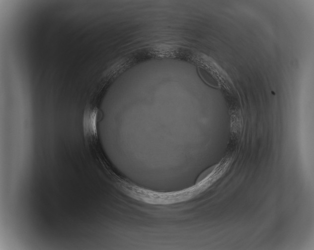 X0000102400047200808011555