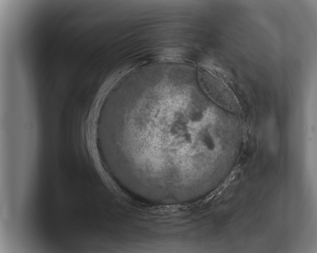 X0000102400049200808011555