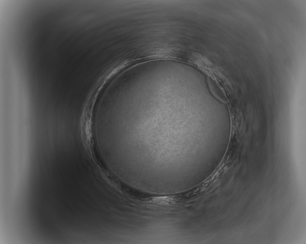 X0000102400050200808011555