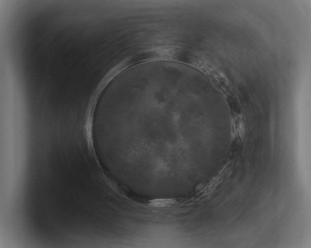 X0000102400051200808011555